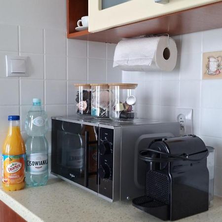 Apartament Flauta, Villa Marea ミエンジズドロイェ エクステリア 写真