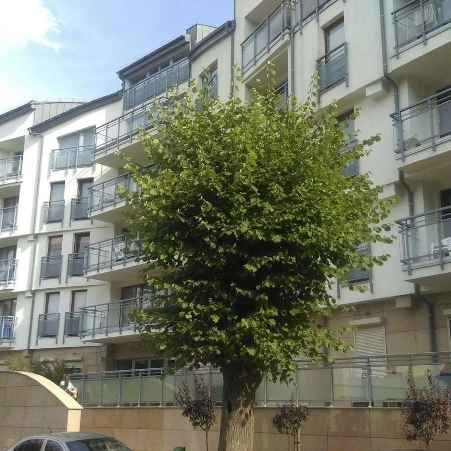 Apartament Flauta, Villa Marea ミエンジズドロイェ エクステリア 写真